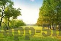 91麻豆app破解版-91麻豆APP——深入浅出的移动娱乐新体验
