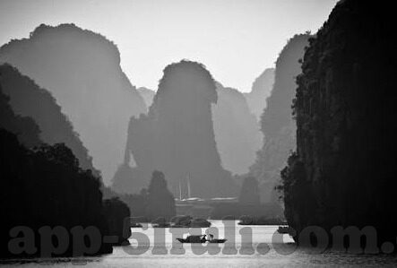 91麻豆国产激情在线观看最新-以网络时代下自我约束的探讨: 探索91麻豆国产激情在线观看最新引发的反思