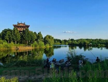 大象传媒18勿进大-象牙塔下的警钟，大象传媒18勿进大