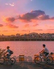 大象传媒官方入口-探索大象传媒的官方入口，连接内容与用户的桥梁