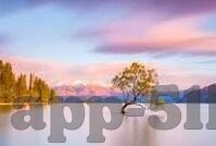 果冻传媒app官方下载地址-探索果冻传媒app，解锁娱乐新视界