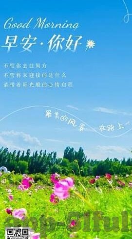 麻豆传媒app破解-打造个人信息安全堡垒，揭开麻豆传媒app破解的迷雾与防欺攻略
