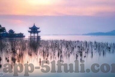 麻豆传媒印画app下载-麻豆传媒，探索创新影像艺术的海量视觉盛宴应用