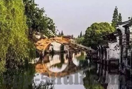 美橙app 糖心-美橙app与糖心，共舞于数字生活的甜蜜旋律