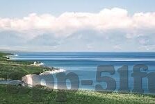 人妻中字精品-探索人妻中字精品的独特魅力