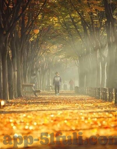 色婷婷av一区二区三区麻豆-领略多彩网络空间 —— AV一区、二区、三区的独特魅力