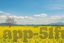 糖心app兑换码领取-糖心APP兑换码的获取与使用技巧