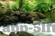 糖心vlog破解版蓝奏云下载-追求与边界，__ 糖心vlog 破解版安全下载的深思